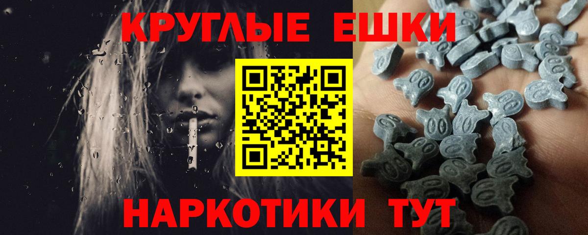 ЭКСТАЗИ Philipp Plein Калининград