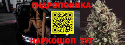 молекула духа Кулебаки