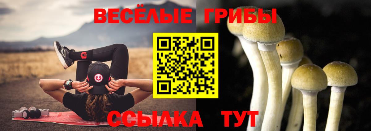 Калининград  Галлюциногенные грибы Psilocybe  Вход с VPN 